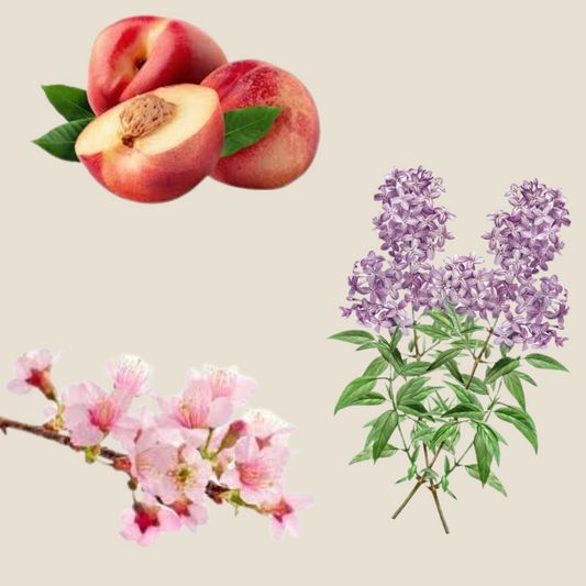whisper-natural-soy-floral-candle